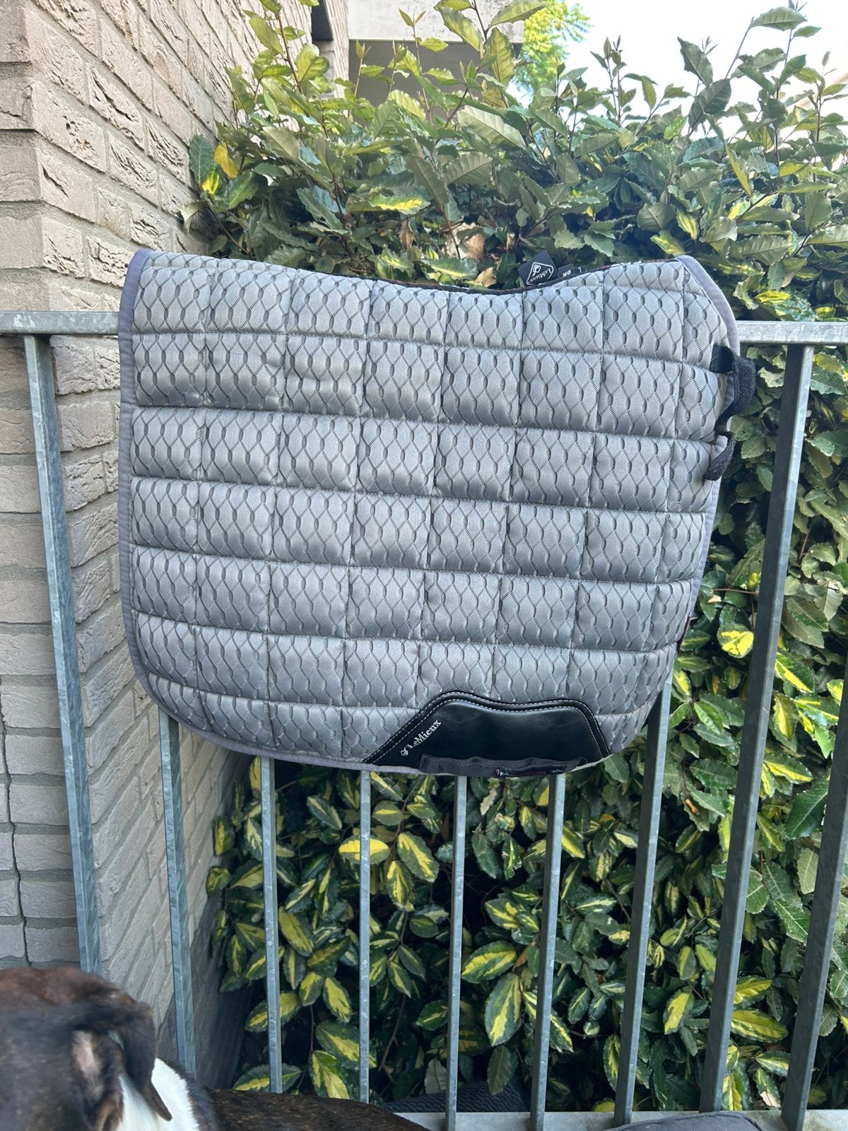 Lemieux carbon mesh dekje grijs dressuur, Dieren en Toebehoren, Full (L), Gebruikt, Dressuurdekje, Mesh