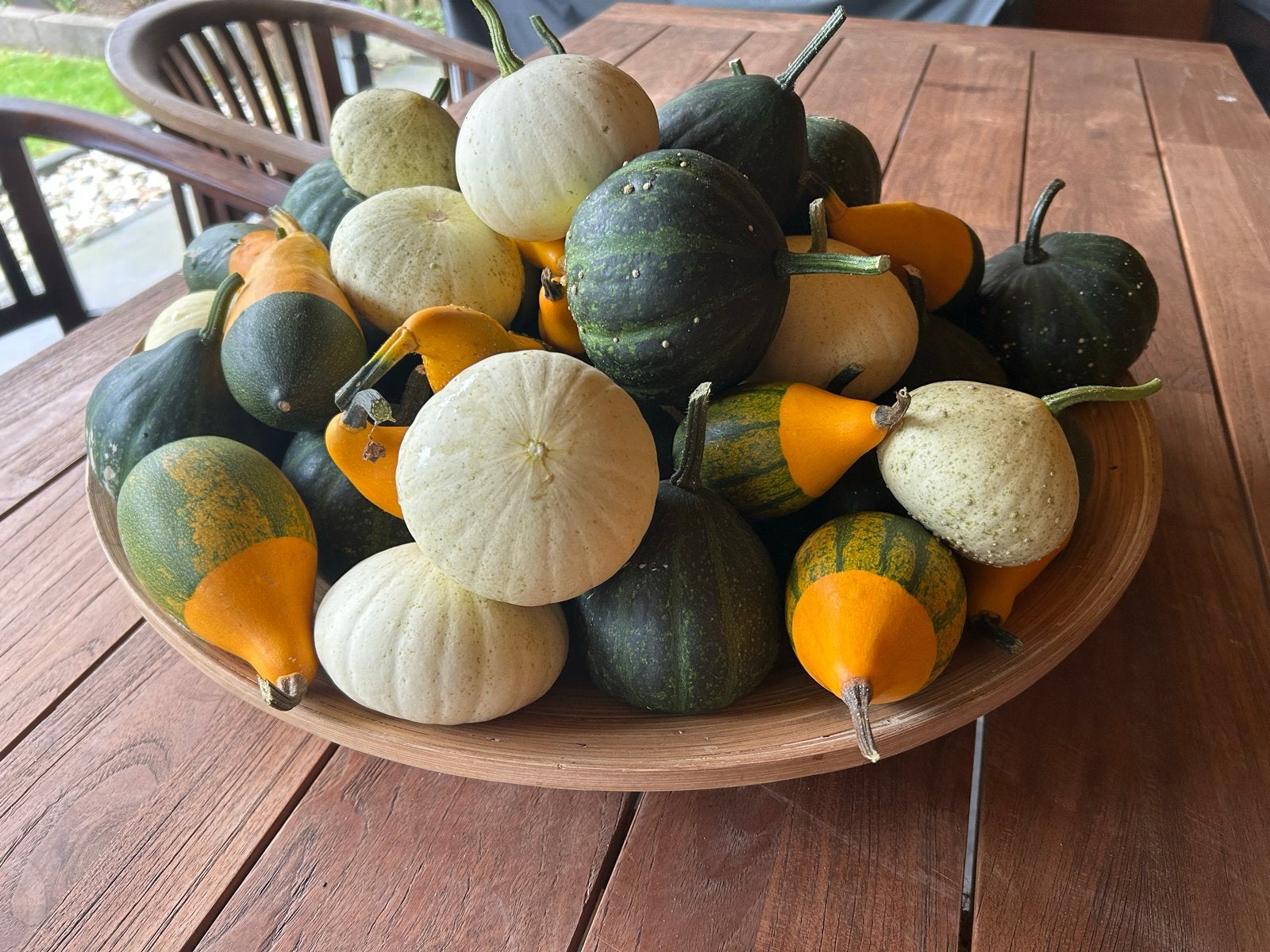 Decoratieve kalebassen voor de herfst, Ophalen, Nieuw, Meerkleurig, Natuurlijk materiaal