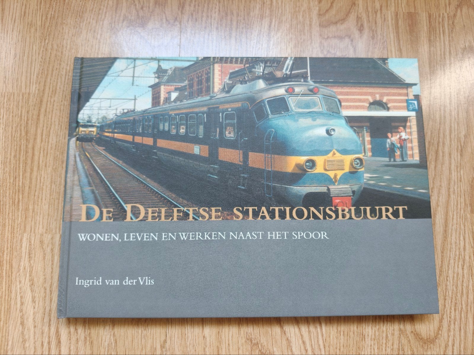 De Delftse stationsbuurt, Verzenden, Zo goed als nieuw, Ingrid van der Vlis, Trein