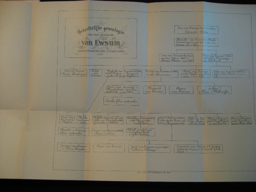 Genealogie. Inventaris Familie-archief geslacht Ewsum, Boeken, Ophalen of Verzenden, Gelezen