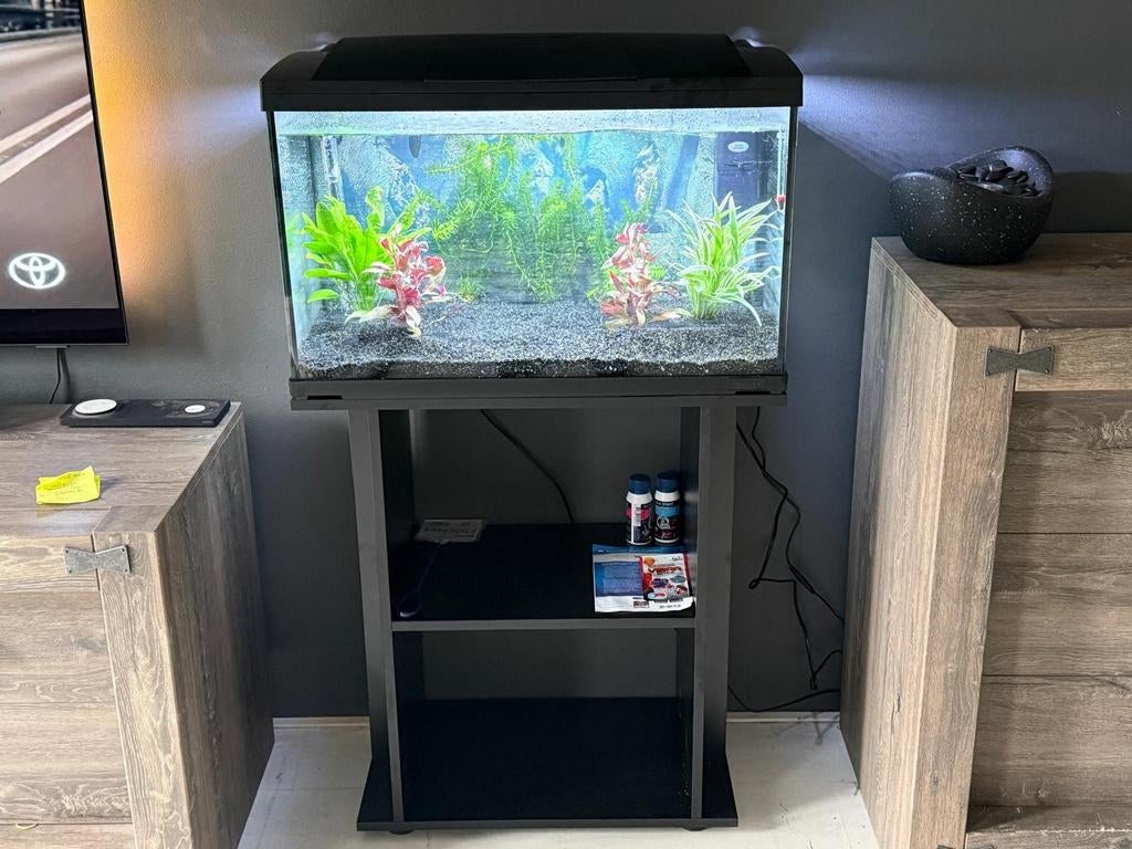 Superfish start 100 met meubel, Dieren en Toebehoren, Vissen | Aquaria en Toebehoren, Ophalen of Verzenden, Zo goed als nieuw