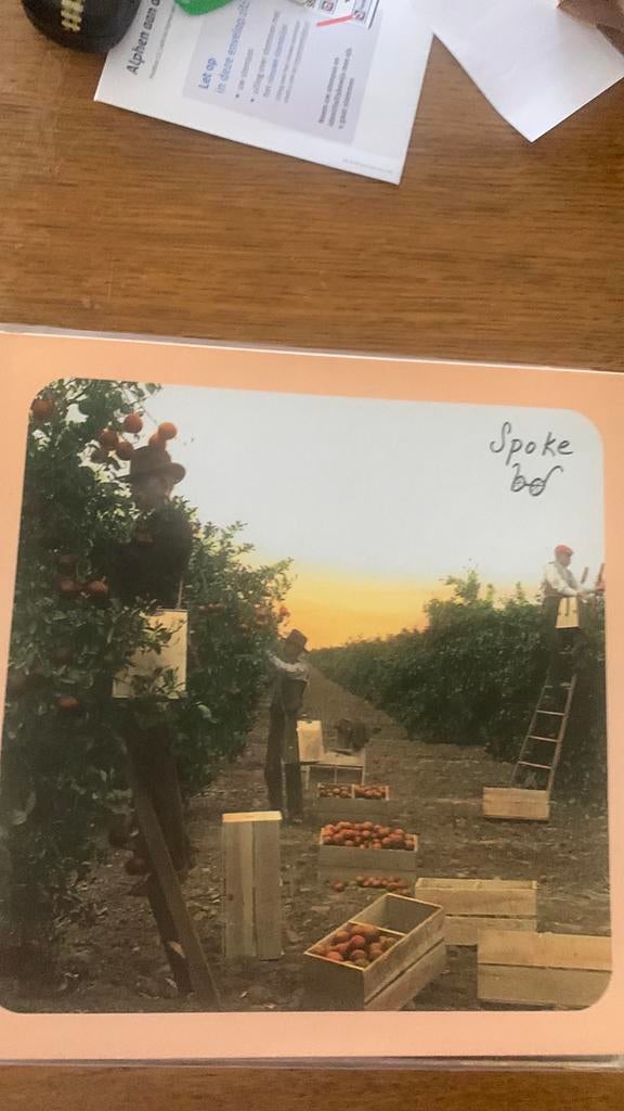 Spoke, Ophalen of Verzenden, Zo goed als nieuw, 12 inch