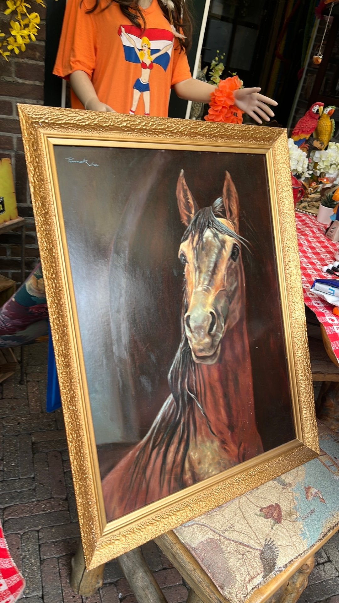 Arabisch paard, Ophalen