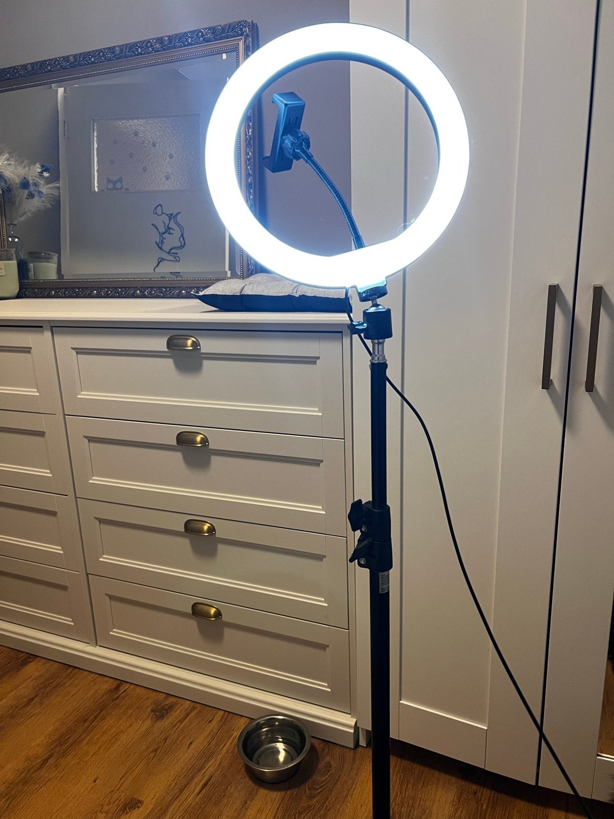 Ringlamp met statief en telefoonhouder, Overige merken, Belichting, Ophalen, Zo goed als nieuw