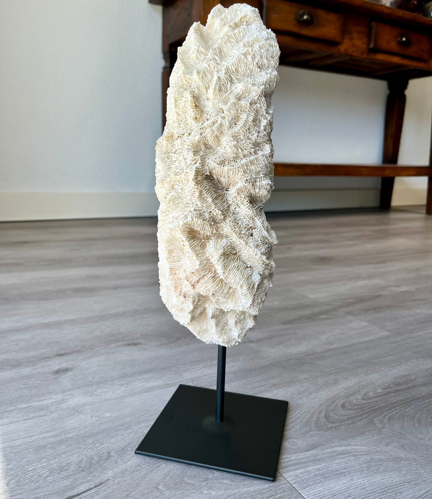 Groot natuurlijk wit koraal op standaard - 37cm, Ophalen of Verzenden, Zo goed als nieuw
