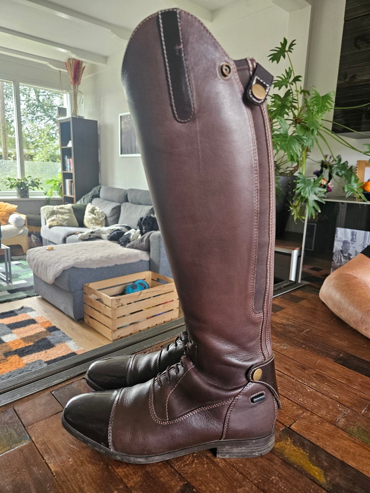 Hoge leren laarzen, maat 39, kleur bruin, Ritssluiting, Dressuur, Ophalen of Verzenden, Bruin