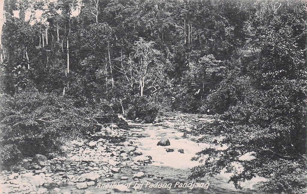 Nederlands Indië Padang Pandjang - Aneikloof, Ophalen of Verzenden, 1920 tot 1940, Ongelopen, Buiten Europa