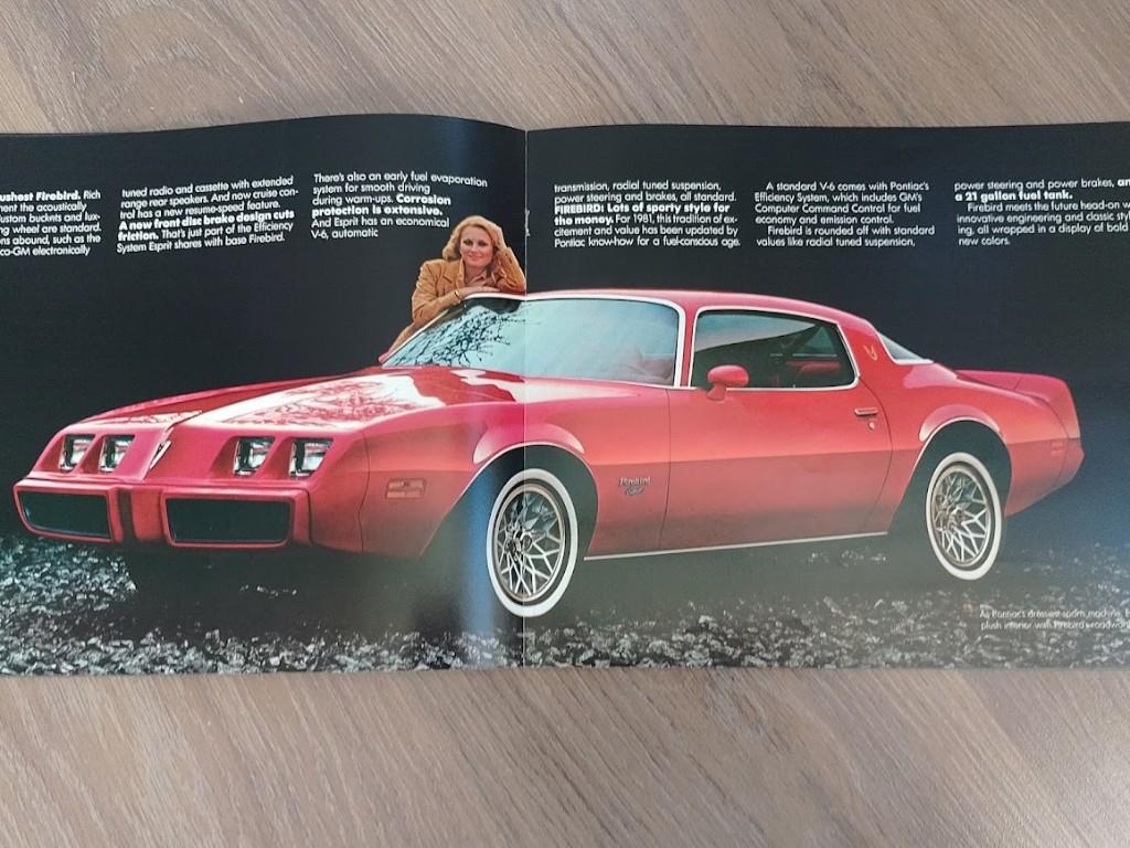Pontiac 1981, Firebird, Le Mans,Bonneville, Grad Prix etc, Ophalen of Verzenden, Nieuw