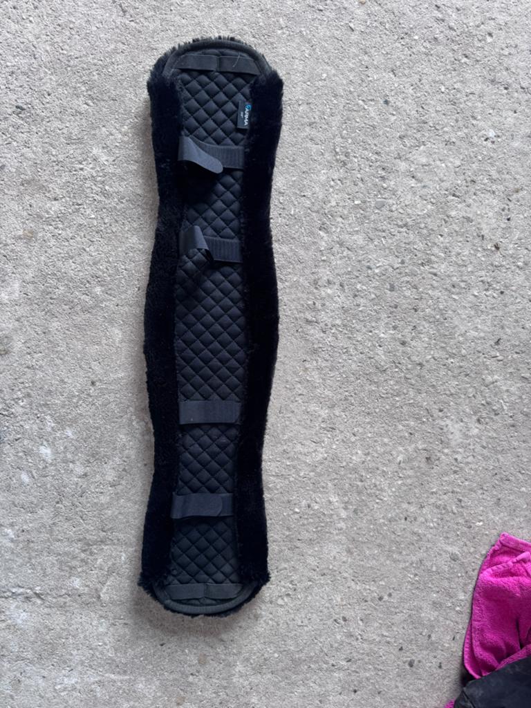 Singelhoes Shires Dressage Zwart, Ophalen of Verzenden, Zo goed als nieuw, Dressuur