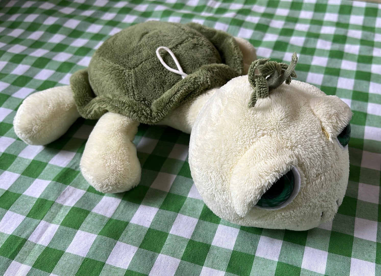 Schildpad 27cm, Ophalen of Verzenden, Zo goed als nieuw, Overige typen