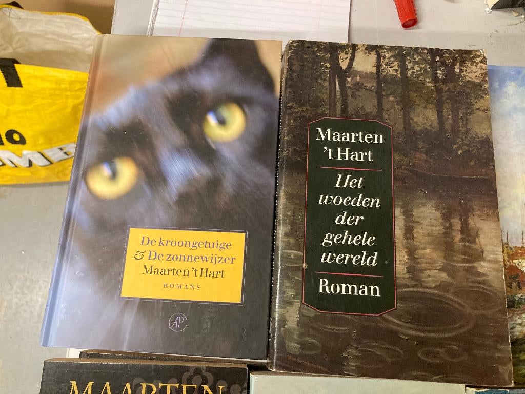 T.K. nog 23 boeken van Maarten 't Hart zie actuele lijst, Ophalen of Verzenden, Gelezen, Maarten 't Hart, Nederland