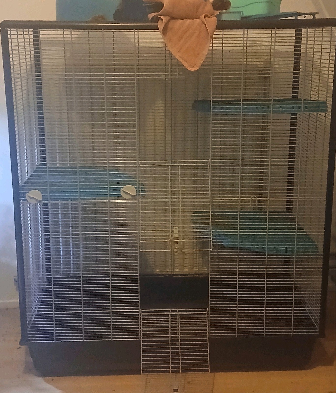Rattenkooi, Ophalen, Kooi, Gebruikt, 90 cm of meer