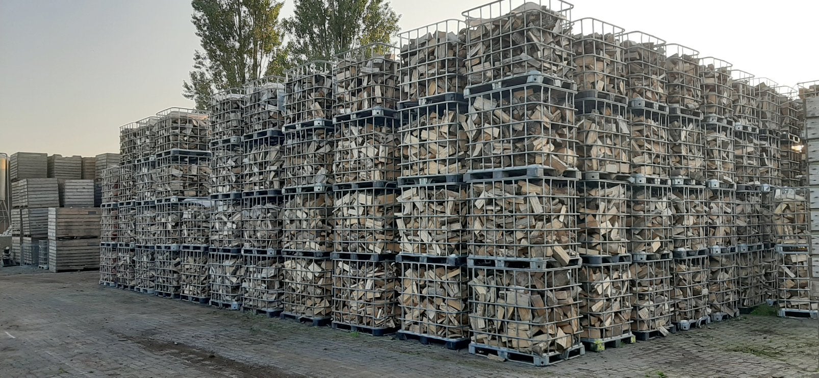 Stookklaar essenhout, Ophalen, Essenhout, Blokken