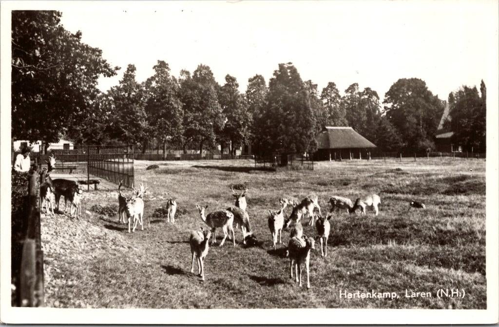 Laren - Hertenkamp, Verzenden, 1940 tot 1960, Ongelopen, Noord-Holland