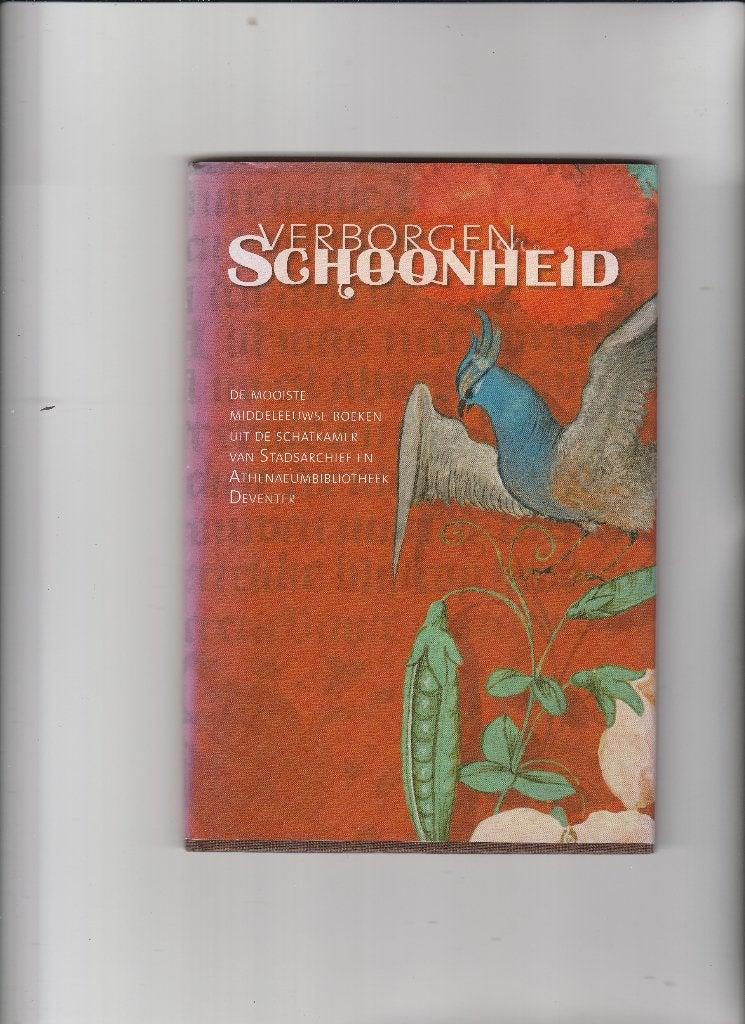 deventer- verborgen schoonheid, Ophalen of Verzenden, Zo goed als nieuw