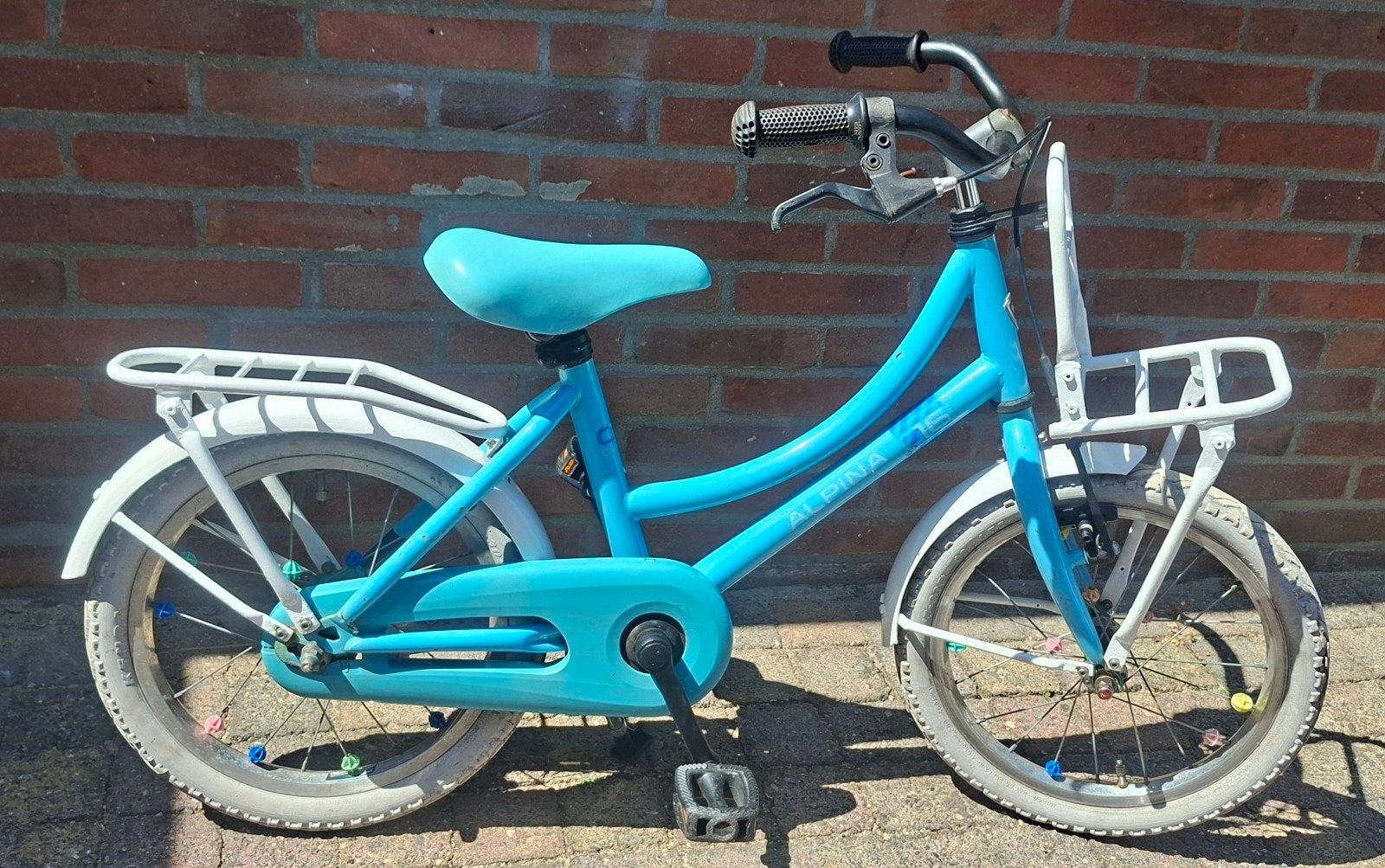 leuke goede Alpina oma fiets met 16 inch wielmaat, Ophalen, Terugtraprem, Handrem, Alpina Cargo