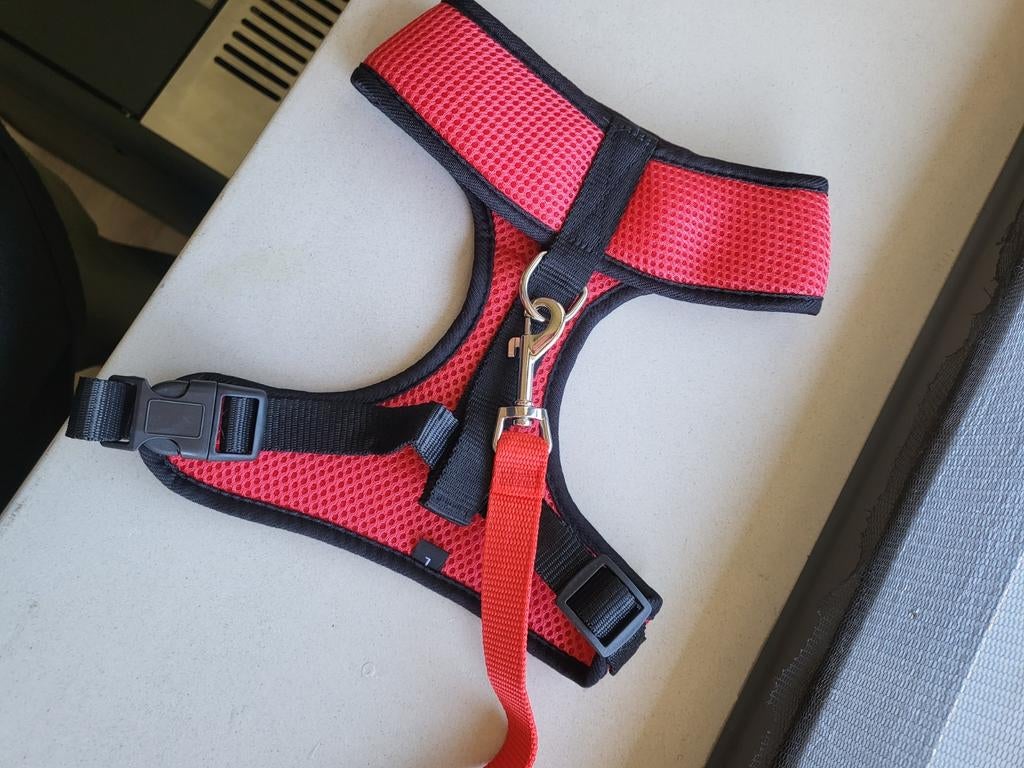 Hondentuigje met riem, rood, Dieren en Toebehoren, Ophalen, Nieuw, Hondenriem-accessoire
