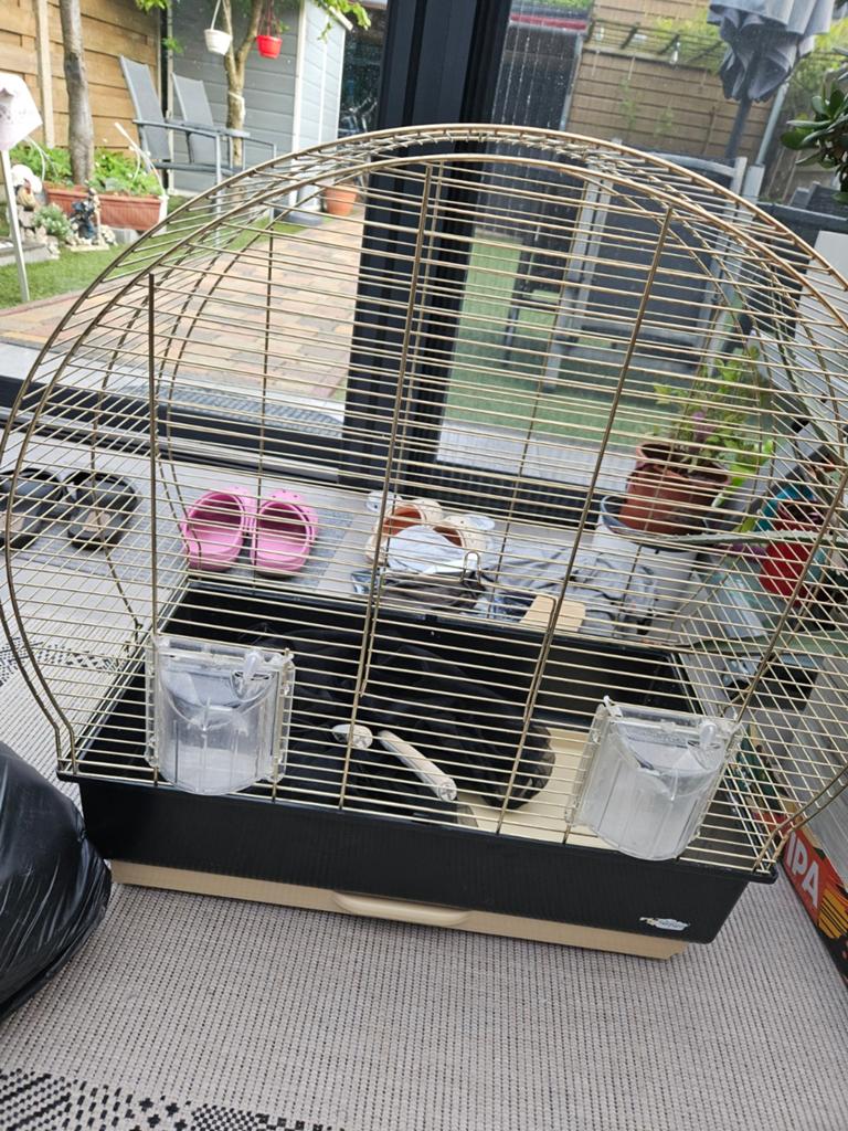 Mooie grote vogelkooi, Dieren en Toebehoren, Vogels | Hokken en Kooien, Ophalen, Zo goed als nieuw, Metaal, Vogelkooi