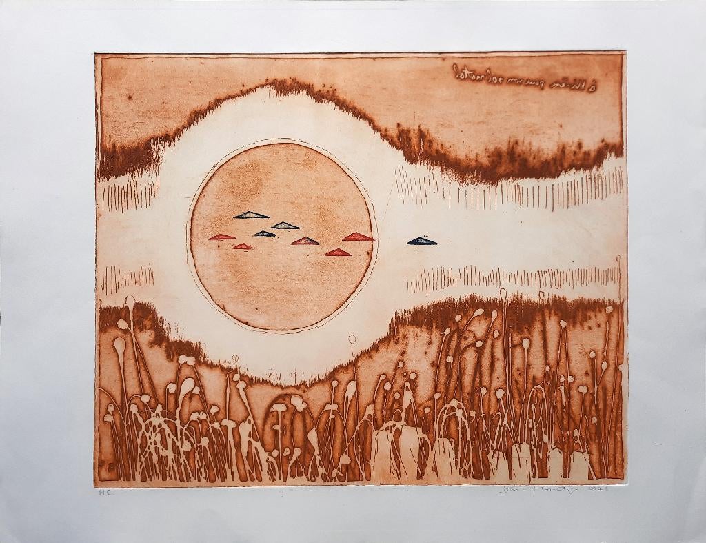 Sawah Indonesia H.C. - Kunstenaar: Jan Montyn, Antiek en Kunst, Kunst | Etsen en Gravures, Ets, Genummerd, Gesigneerd, Landschap