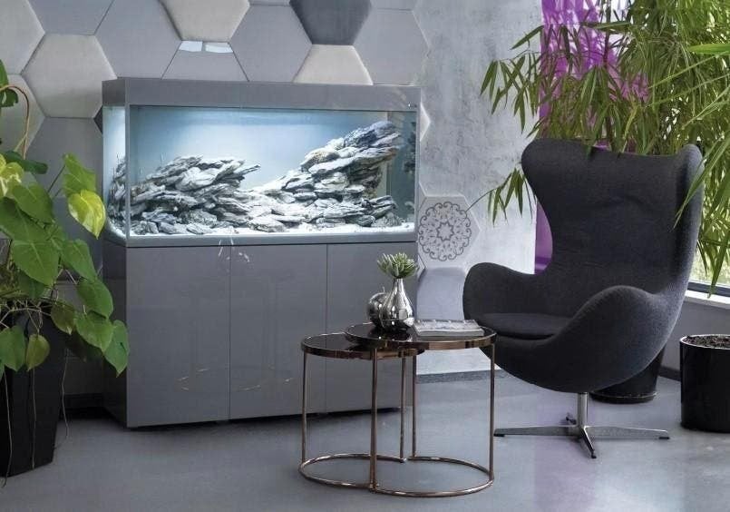 grote collectie aquaria in staat in de winkel, kom kijken, Dieren en Toebehoren, Vissen | Aquaria en Toebehoren, Ophalen, Nieuw