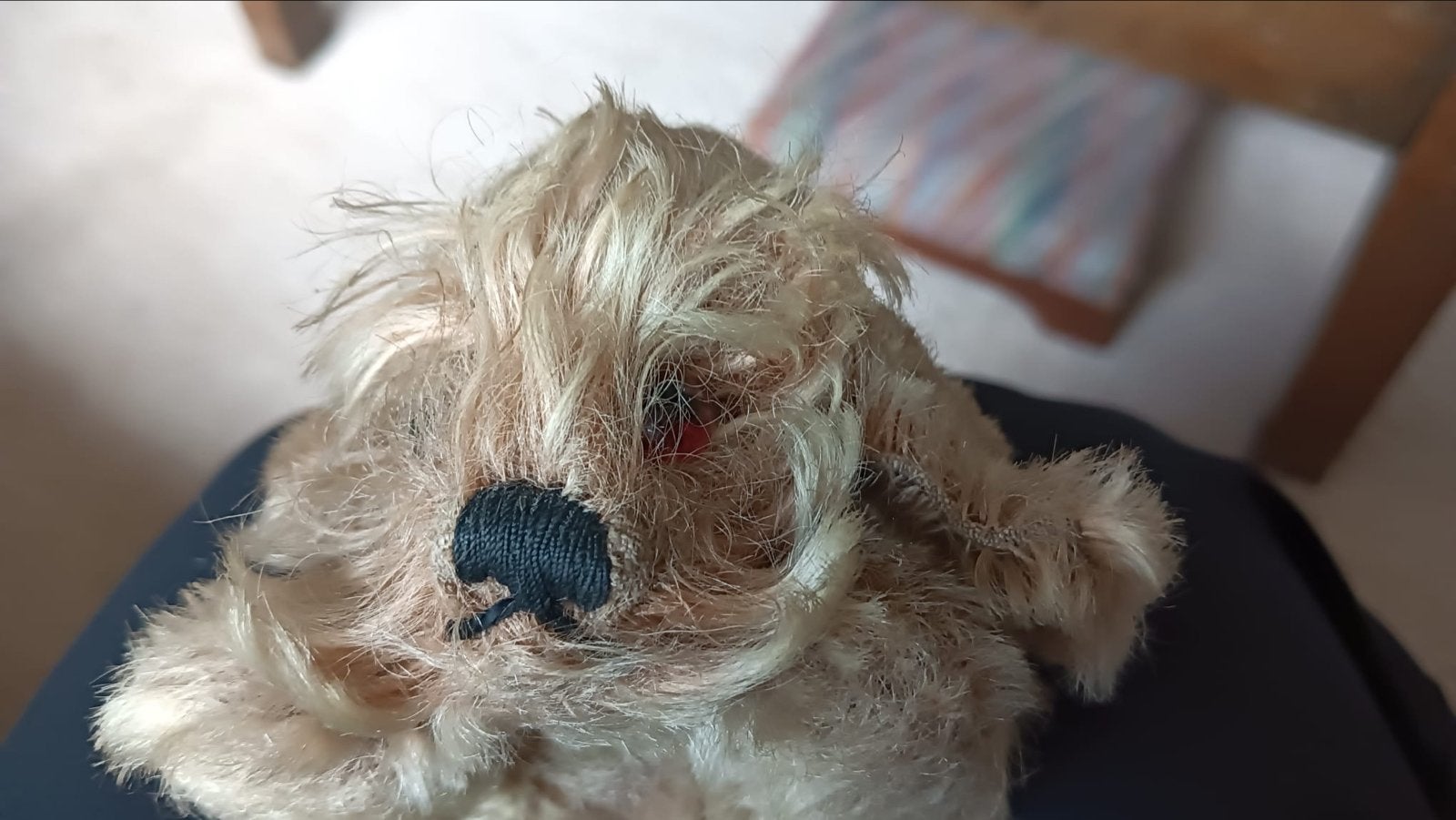 Vintage Steiff Cocker Spaniël Pluche Hond met Knop in Oor, Ophalen of Verzenden