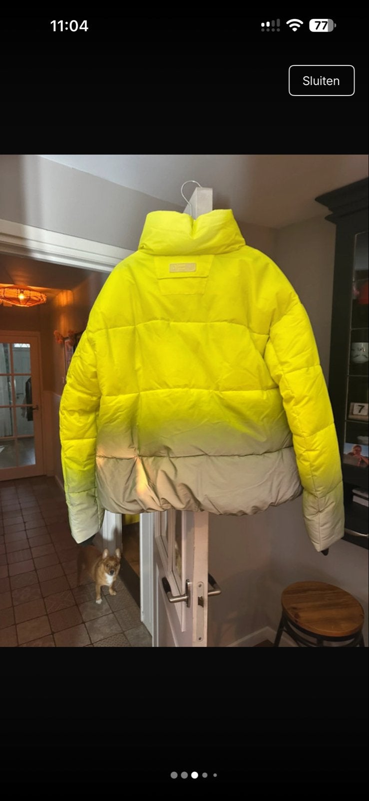 Gaastra Pufferjack met kleurverloop - Nieuw met kaartjes, Ophalen of Verzenden, Nieuw, Maat 38/40 (M), Geel
