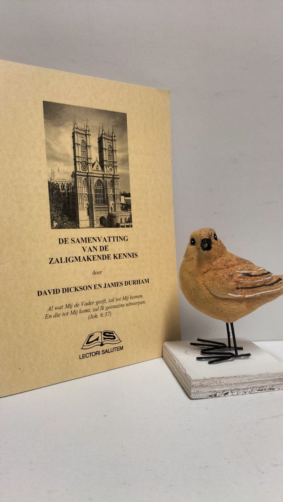 Dickson, David e.a.; De samenvatting van de zaligmakende, Boeken, Godsdienst en Theologie, Ophalen of Verzenden, Gelezen, Christendom | Protestants