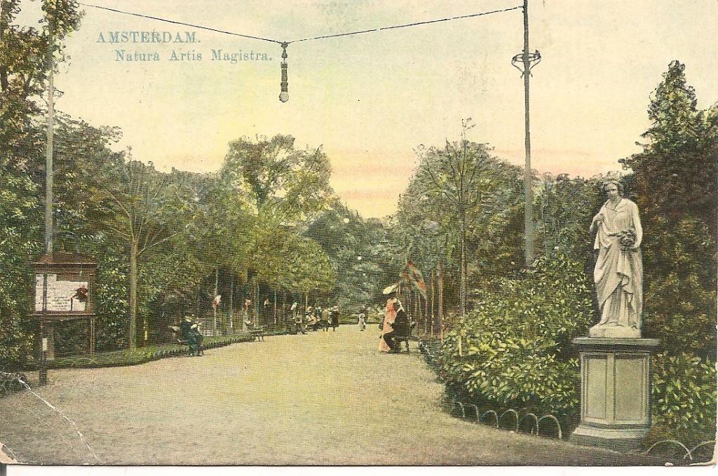 Amsterdam Natura Artis Magistra.   1911., Ophalen of Verzenden, Voor 1920, Gelopen, Noord-Holland