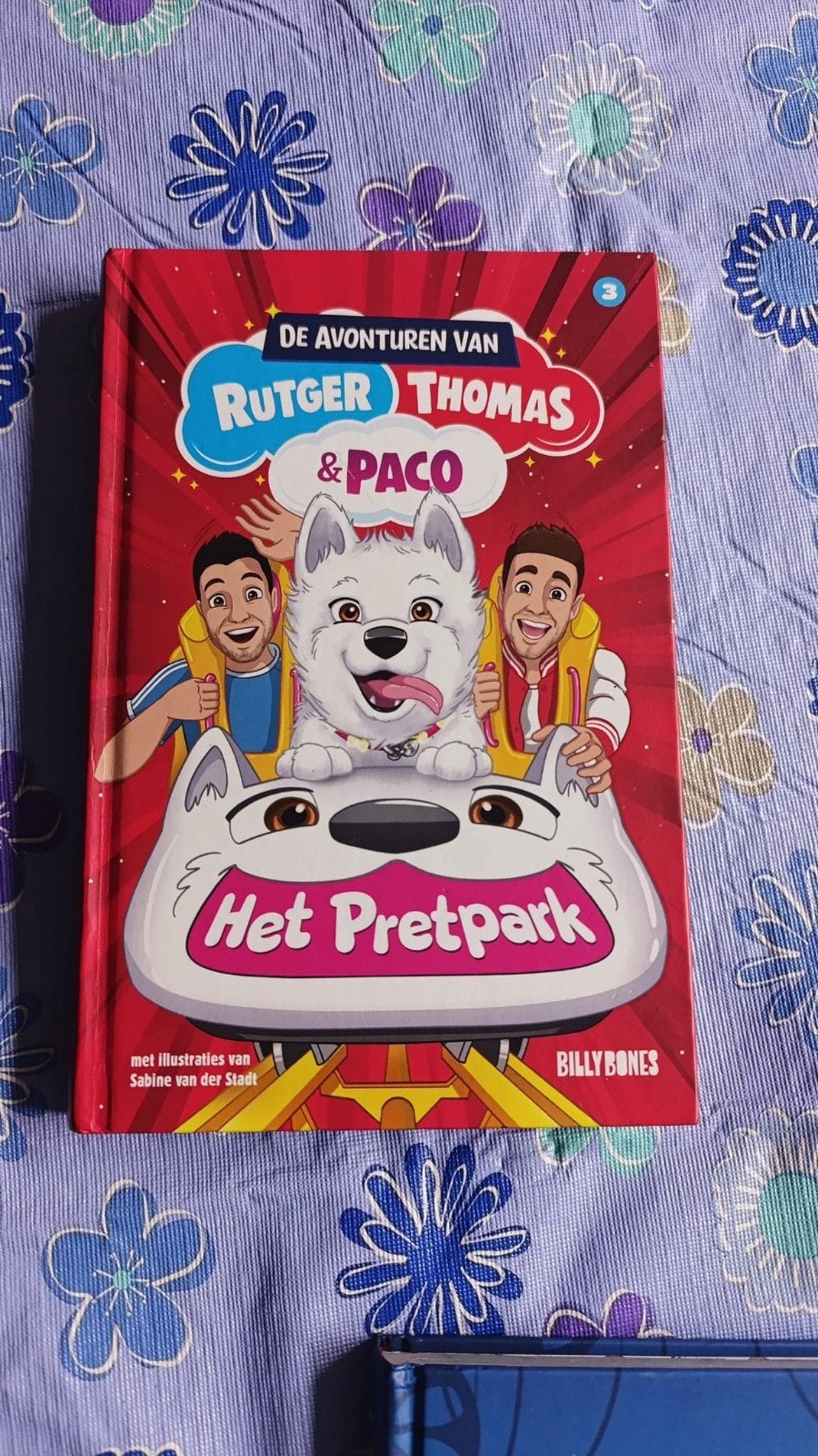Rutger, Thomas & Paco: Het Pretpark, Ophalen of Verzenden, Zo goed als nieuw, Billy Bones, Fictie algemeen