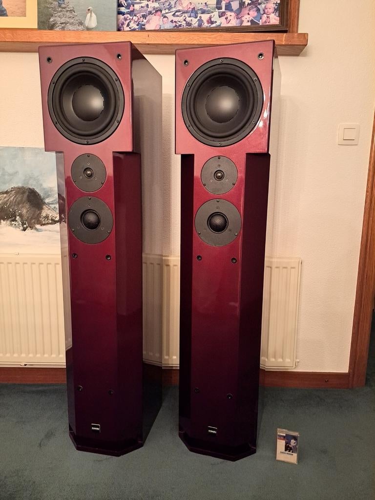Prachtige set Xanadu DS30 luidsprekers - OCOS - 10994 gldn!, Audio, Tv en Foto, Luidsprekers, Zo goed als nieuw, 120 watt of meer