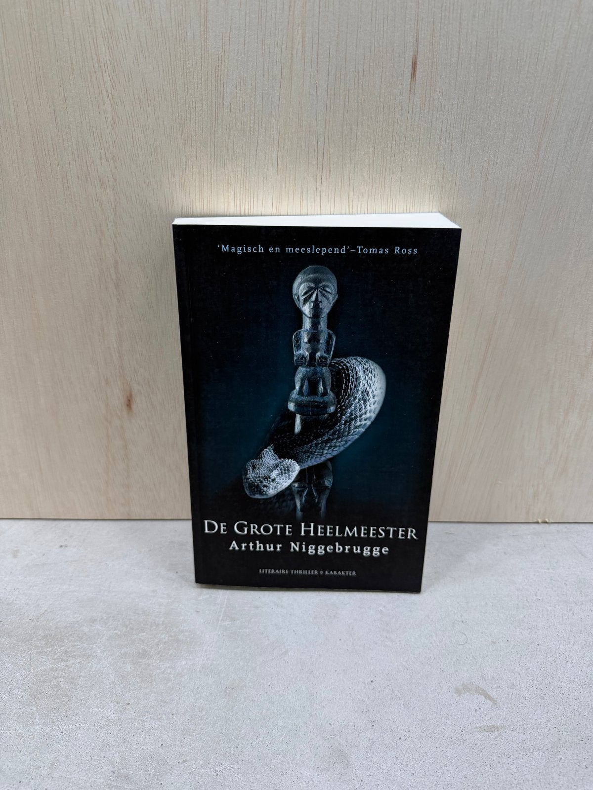 De Grote Heelmeester - Arthur Niggebrugge, Ophalen of Verzenden, Nieuw, Nederland