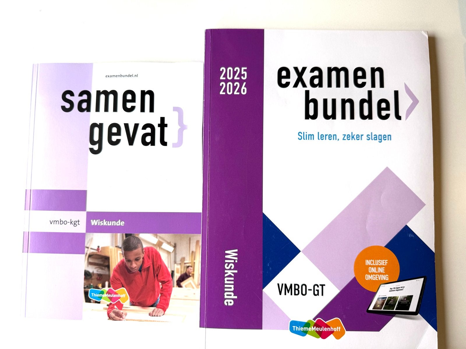 Examenbundels en Samengevat VMBO (Eco, Wis, Bio en Geschied), Boeken, Schoolboeken, Ophalen of Verzenden, Zo goed als nieuw, VMBO
