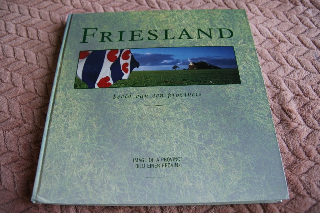 Friesland, beeld van een provincie, Ophalen of Verzenden, Gelezen