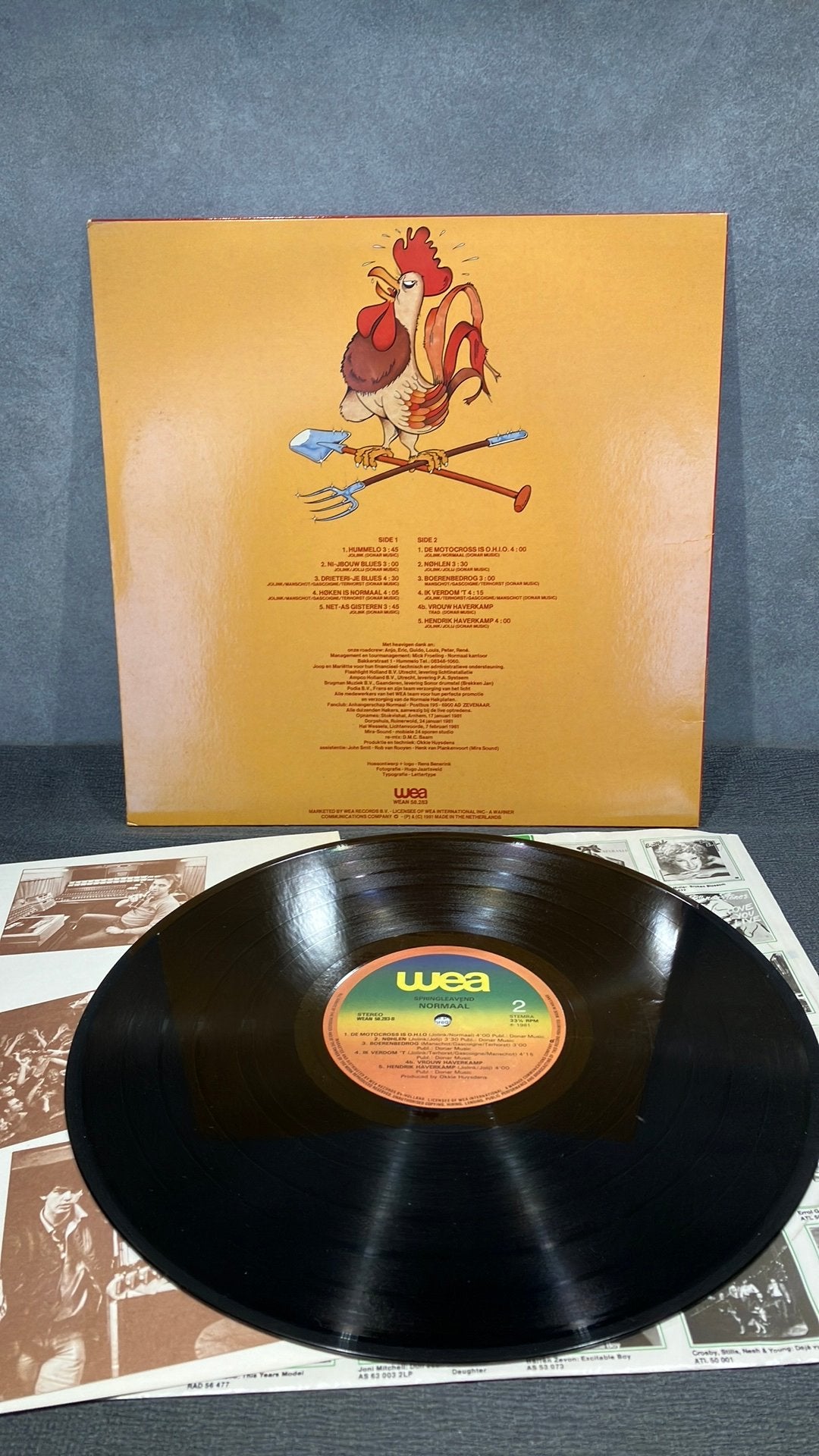 Normaal — Springleavend, LP, Gebruikt, Ophalen of Verzenden, Originele persing