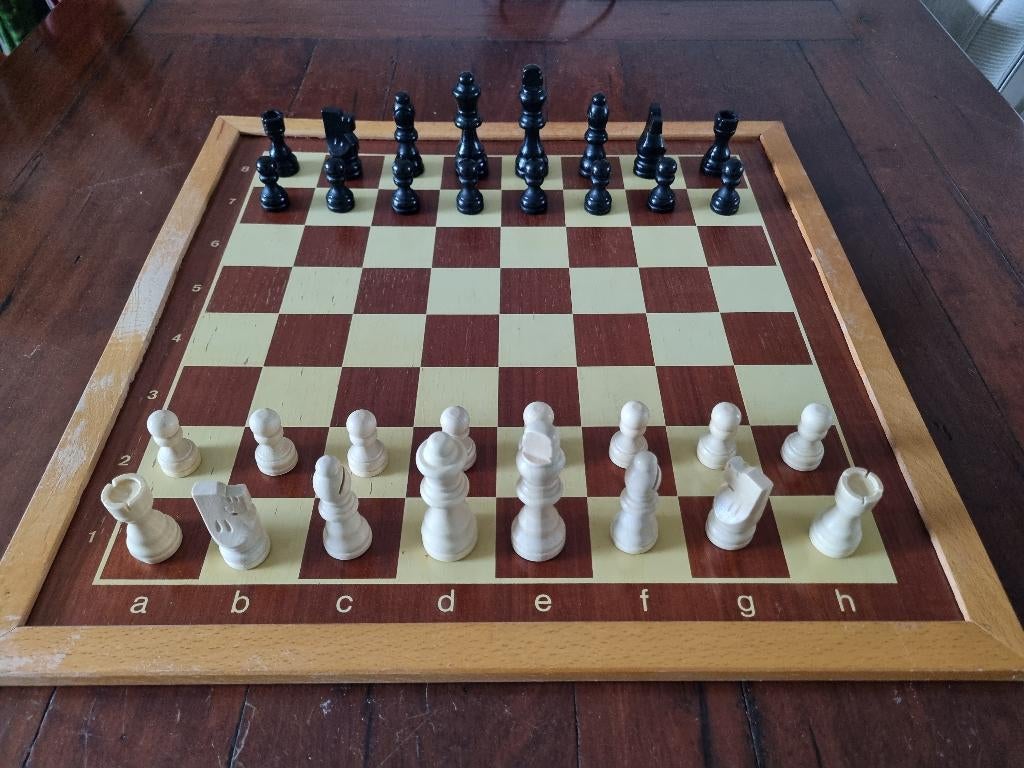 Schaak- en damspel, Ophalen of Verzenden, Nieuw