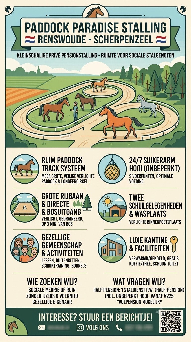 Gezellige Paddock Paradise heeft plek!, Weidegang, 2 of 3 paarden of pony's