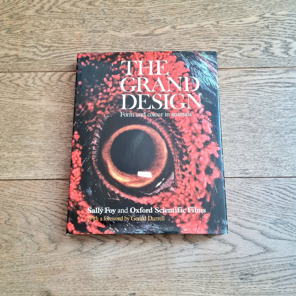 The Grand Design: Form and colour in animals by Sally Foy, Gelezen, Overige onderwerpen, Sally Foy, Ophalen of Verzenden