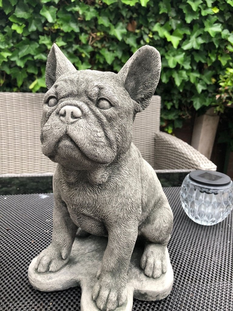 beton stenen hond bulldog franse bull beeld, Ophalen