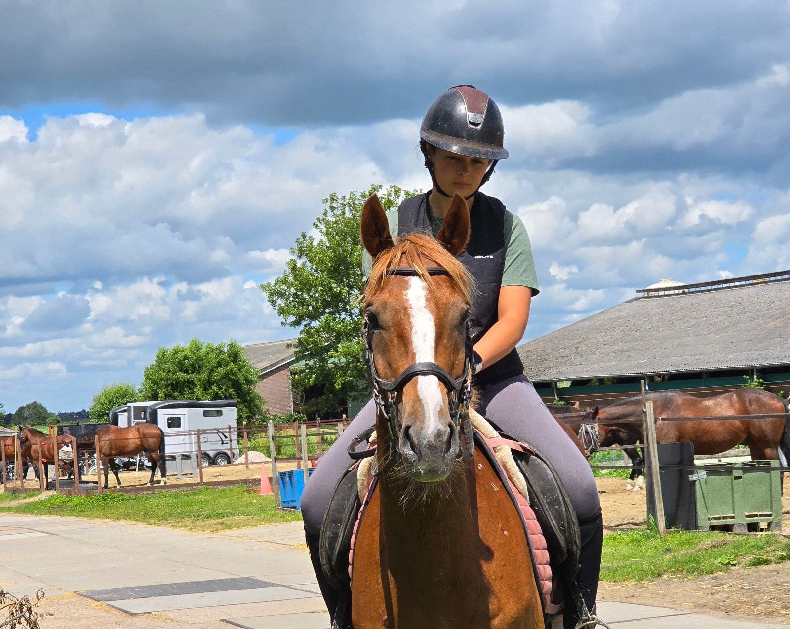 Bijzonder mooie 7jarige vosruin bomproof, Dieren en Toebehoren, Paarden, Ruin, B, 160 tot 165 cm, 7 tot 10 jaar, Recreatiepaard