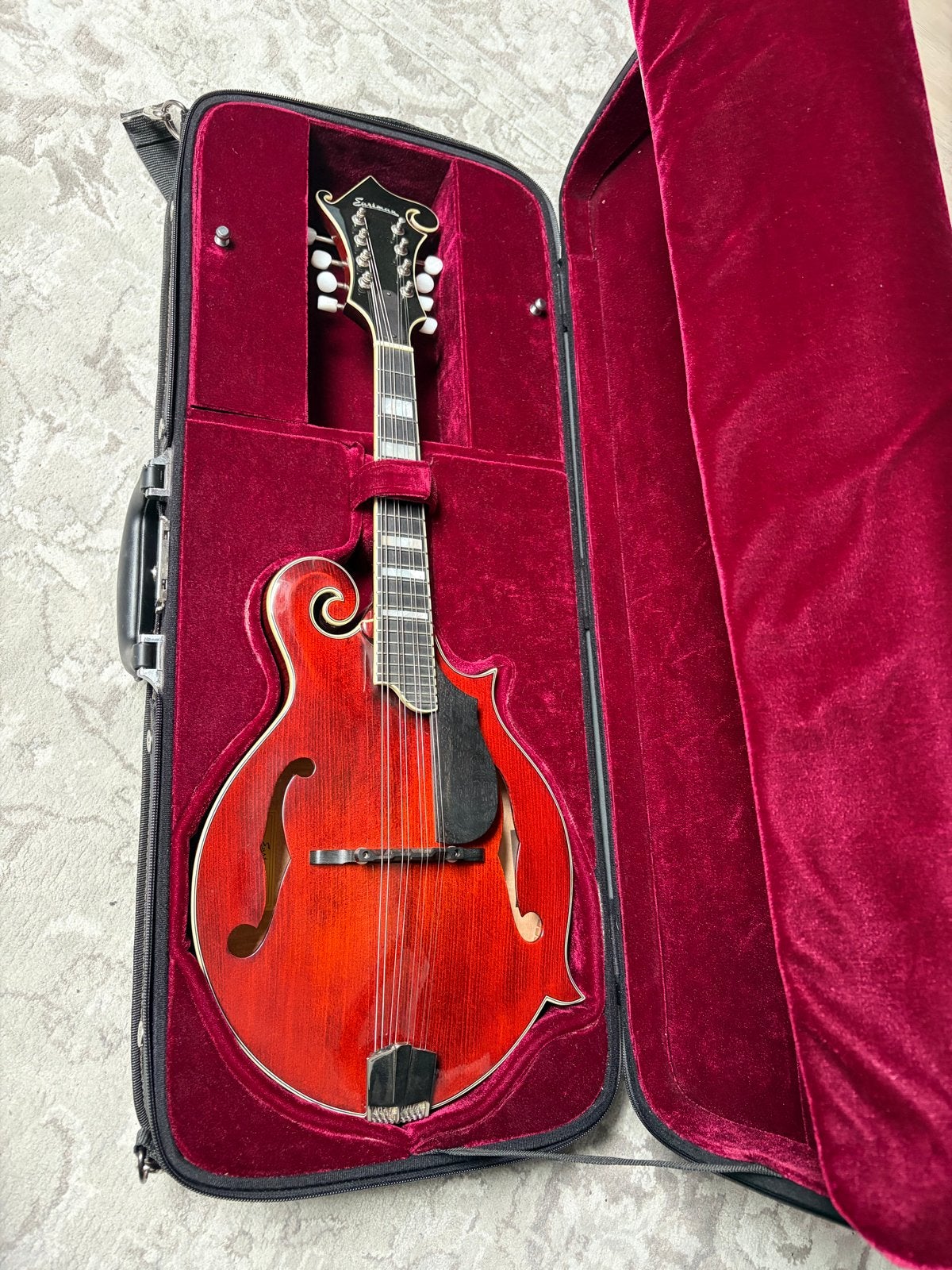 Eastman MD615 Mandoline met Pickup en Hardcase, Ophalen, Zo goed als nieuw, Overige typen
