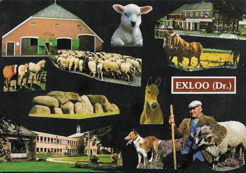 Exloo Gelopen Ansichtkaart ( 1282 ), Ophalen of Verzenden, 1960 tot 1980, Gelopen