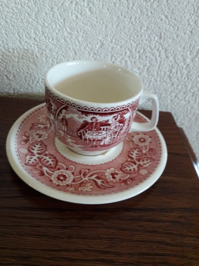 Tea Drinker servies, Kop en Schotel, Ophalen of Verzenden