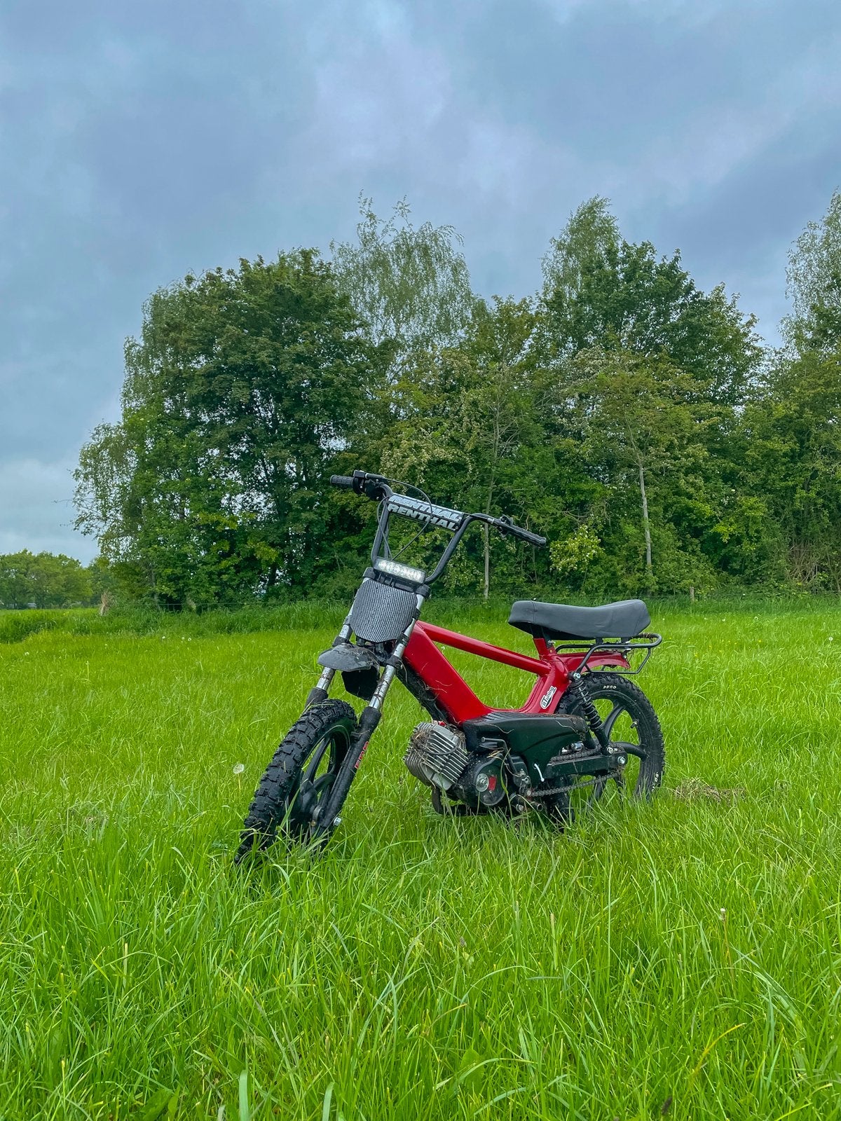 Rode Tomos crosser- Custom Tomos A3/A35, Ophalen, Gebruikt, Maximaal 45 km/u, 65 cc