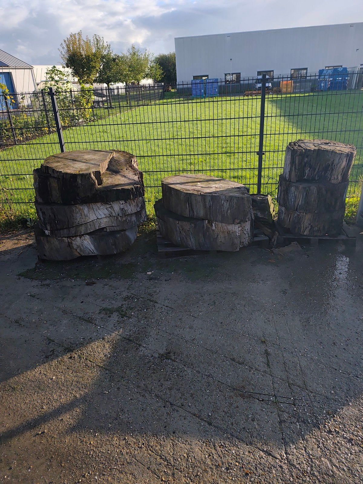 Oude boomstammen, af te halen, Tuin en Terras, Ophalen