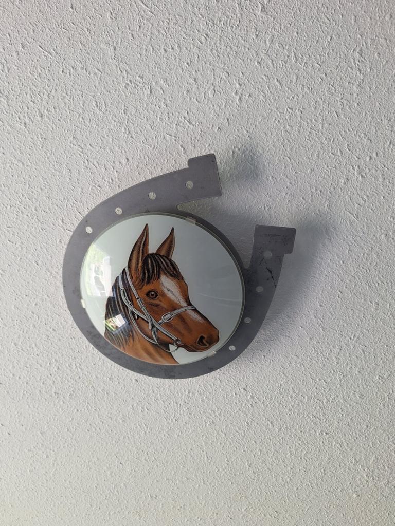 Mooie paardenlamp voor paardenmeisje of -jongen, Ophalen of Verzenden, Gebruikt