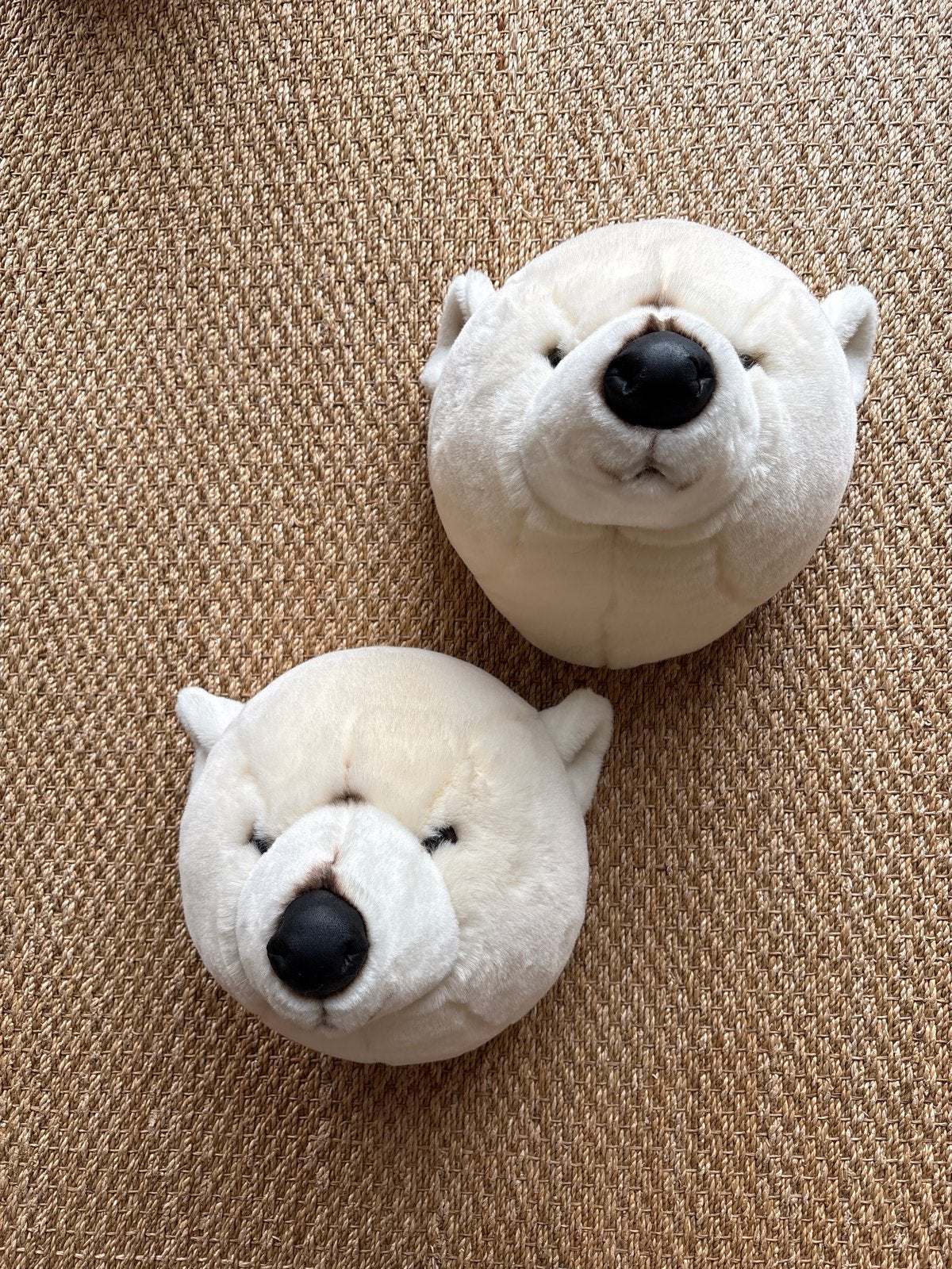 Twee schattige ijsbeer knuffels - zo goed als nieuw, Ophalen, Beer, Nieuw, Middelgroot (20 tot 80 cm)