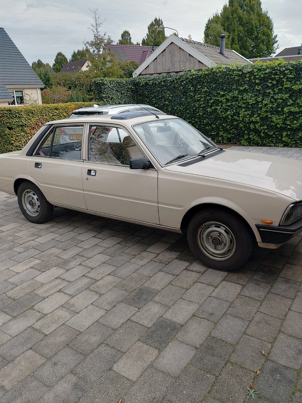 Peugeot 505 1984, foto 2