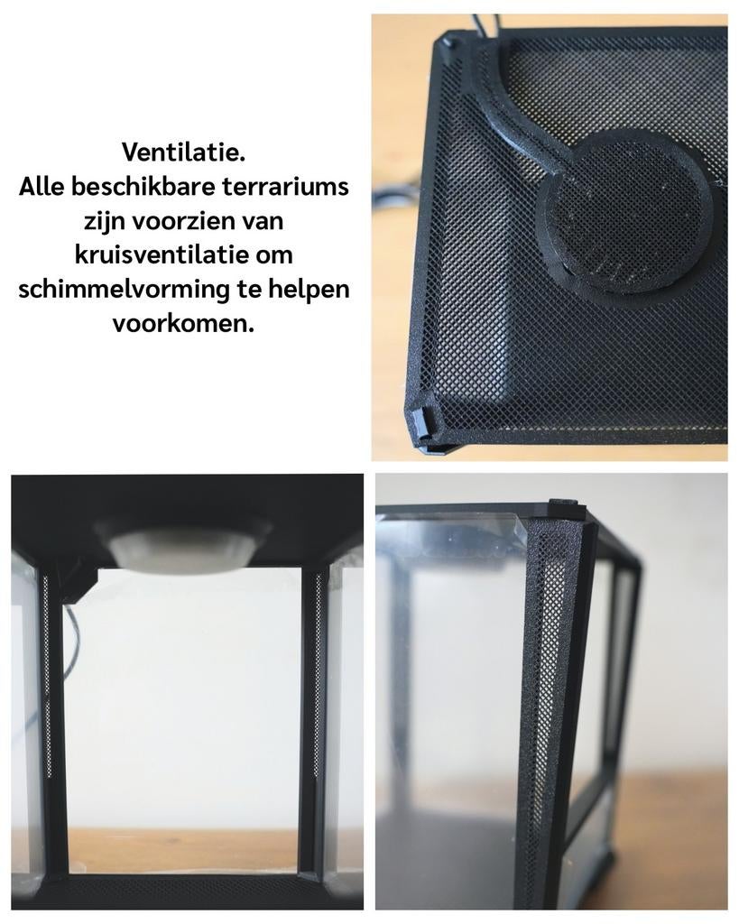Terrariums met LED & warmtemat | voor spinnen & insecten, Dieren en Toebehoren, Spin of Schorpioen