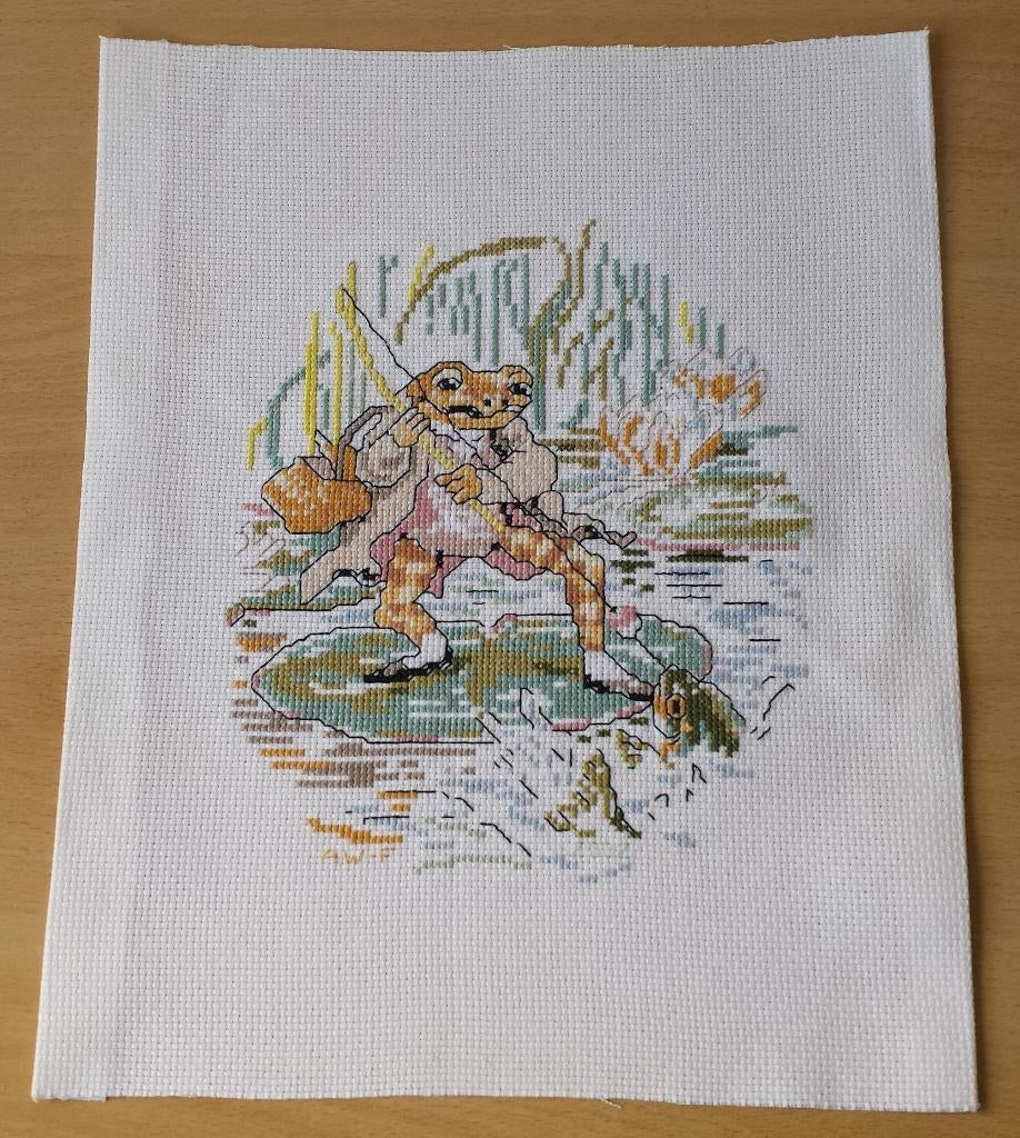 Mr. Jeremy Fisher Borduurwerk -Peter Rabbit - Beatrix Potter, Hobby en Vrije tijd, Borduren en Borduurmachines, Gebruikt, Overige typen