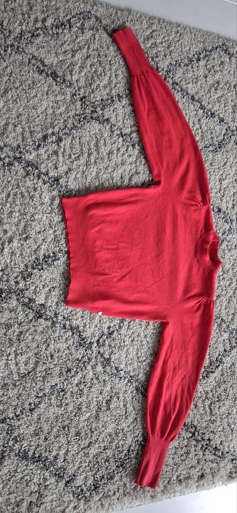 Cotton Club trui, Maat 38/40 (M), Ophalen of Verzenden, Zo goed als nieuw, Cotton Club